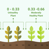 plants 1030x541