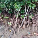 c5d24f23 f15d 4492 8b90 95aec8e973a6