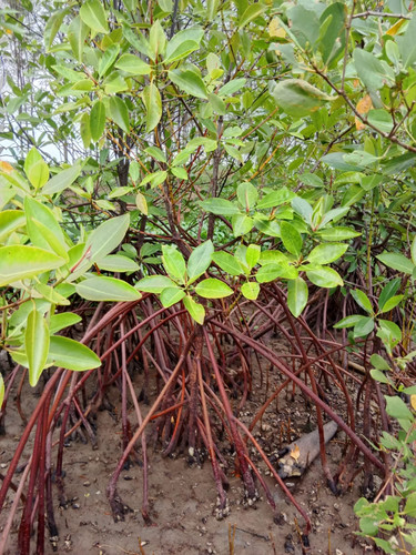 fdca0c7f ed9e 4de0 89c6 cb207d2b5e3d.jpg