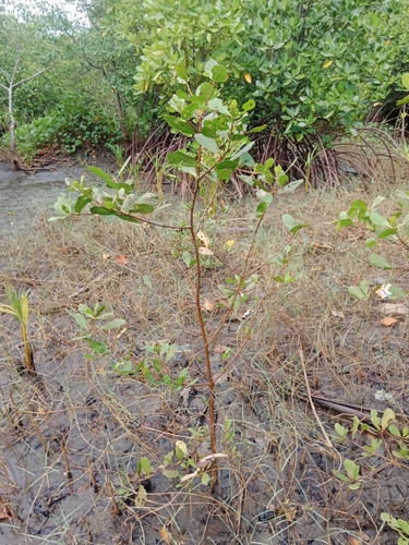 6bc26c57 db20 4c6b 81ba e68214ffad93.jpg