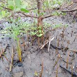 94a9bc97 6366 43d0 a596 208c118a7867