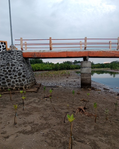 5363b4db bd8a 42c6 a20b ea50006a937a.jpg