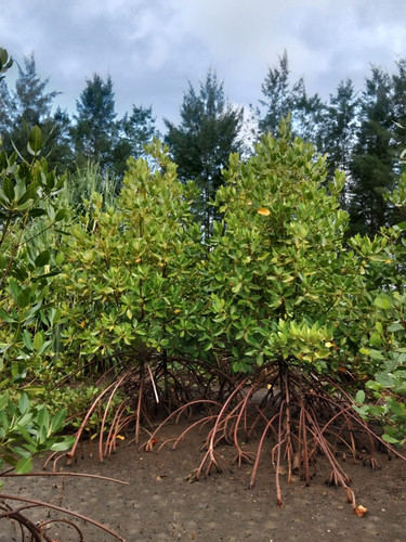 f737aa6f c986 45ea 8475 445ec9da00ab.jpg