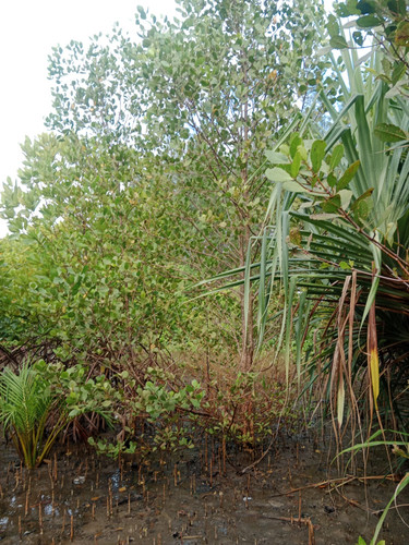 eb0b49a2 2212 4ce3 9187 92c4020c6735.jpg