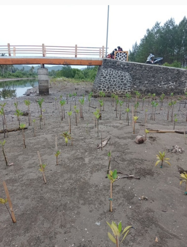 30c37a61 f501 4b04 9fd4 c24dfdd42e81.jpg