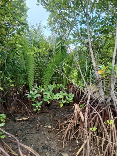 461b26bf 2c2f 4ea4 a91a 9899aa24f481.jpg