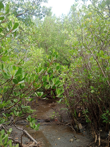 2d1b8190 ebb5 42e9 9f99 c872dc8822f6.jpg