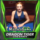 dragon tiger.gif