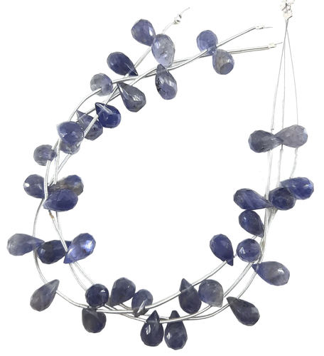 pu.1 95 11zon PhotoRoom.png PhotoRoom.png