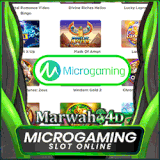 MICROGAMING.gif