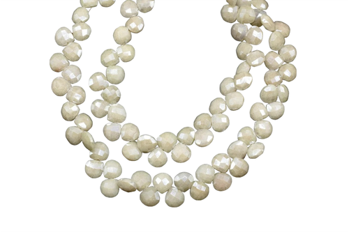 pu.1 168 11zon PhotoRoom.png PhotoRoom.png