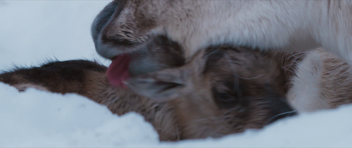 976cec2f757c.png
