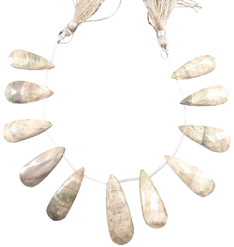 qi.1 123 11zon PhotoRoom.png PhotoRoom.png