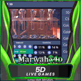 5d.gif