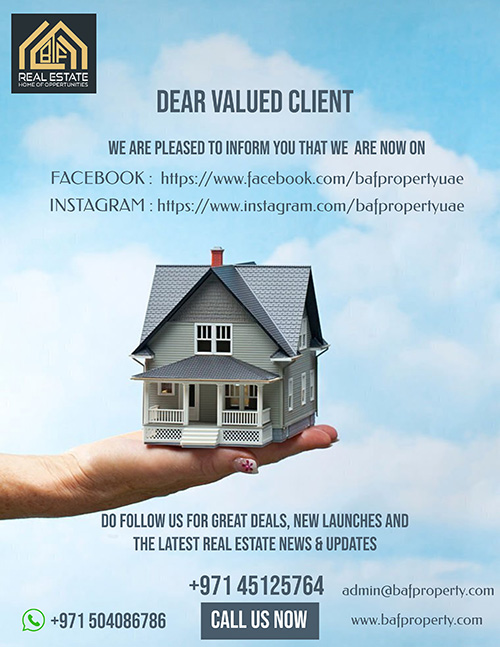 Real estate flyer.jpg