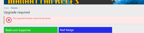 scrnli 01 06 2023 11 17 48.png