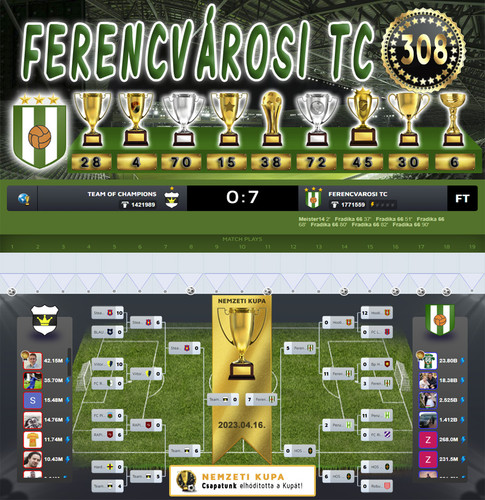 Nemzeti Kupa 131.Szezon Dönto (308.Kupa).jpg