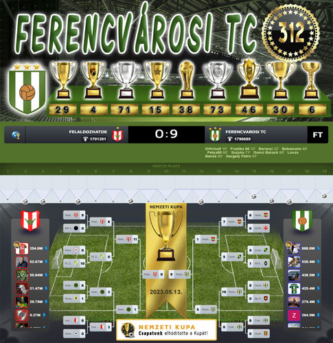 Nemzeti Kupa 132.Szezon Dönto (312.Kupa).jpg