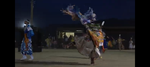 Bear Dance.2