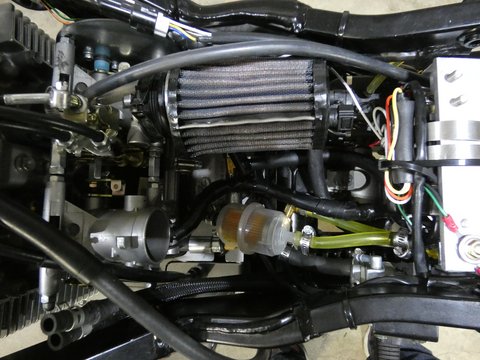 P1000325.jpg