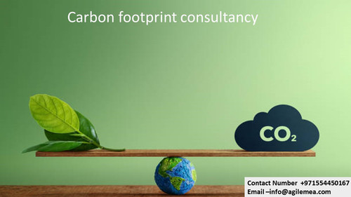 Carbon 6.jpg