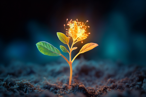 image 1685539702799.png