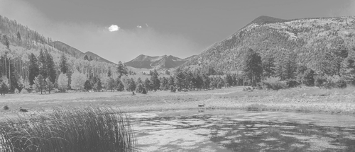 flagstaff light.png