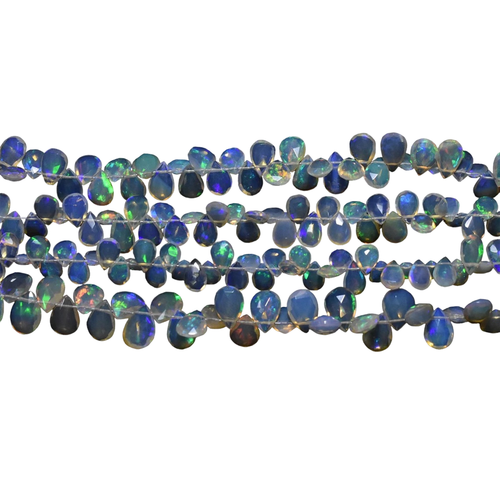 jq.1 203 11zon PhotoRoom.png PhotoRoom.png