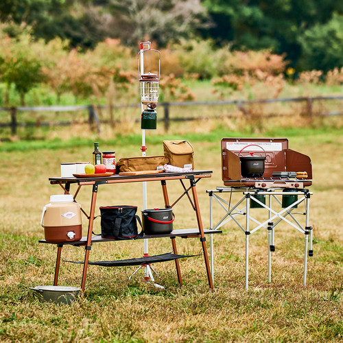 Coleman JP Butterfly Multi Table 1 9.jpg