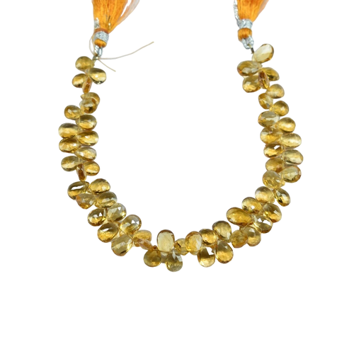 lc.1 100 11zon PhotoRoom.png PhotoRoom.png