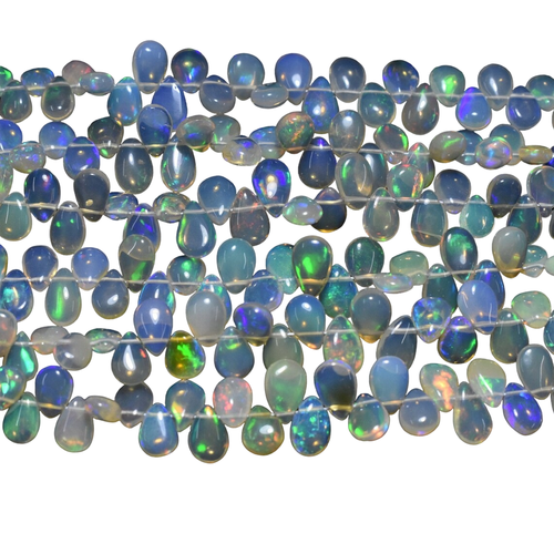 ky.1 4 11zon PhotoRoom.png PhotoRoom.png