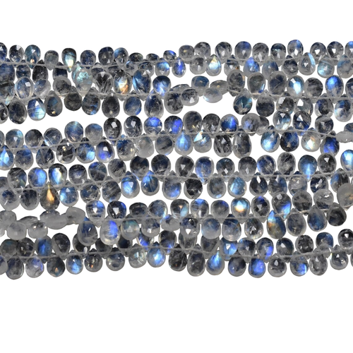 li.1 88 11zon PhotoRoom.png PhotoRoom.png