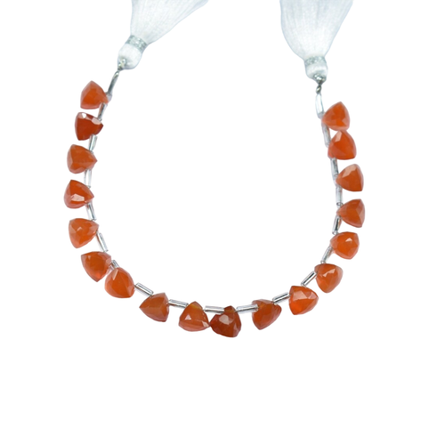 hi.1 83 11zon PhotoRoom.png PhotoRoom.png