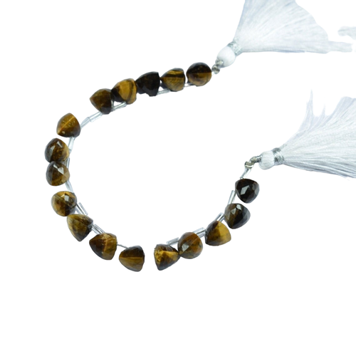 hw.1 111 11zon PhotoRoom.png