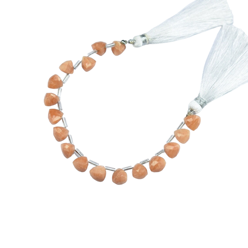 hs.1 103 11zon PhotoRoom.png