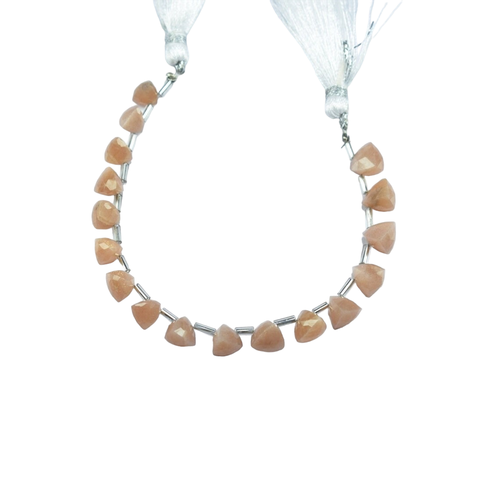 hu.1 107 11zon PhotoRoom.png