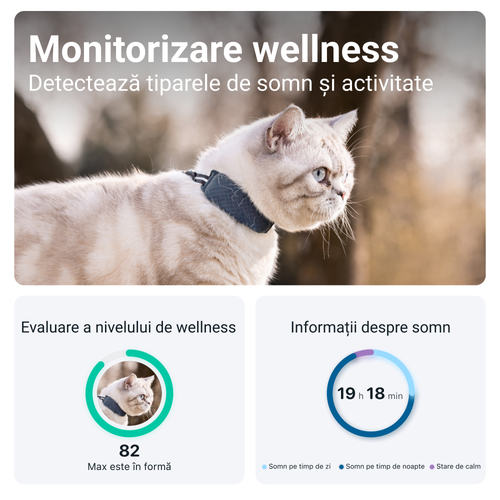 Tractive gps cat 4 RO.png