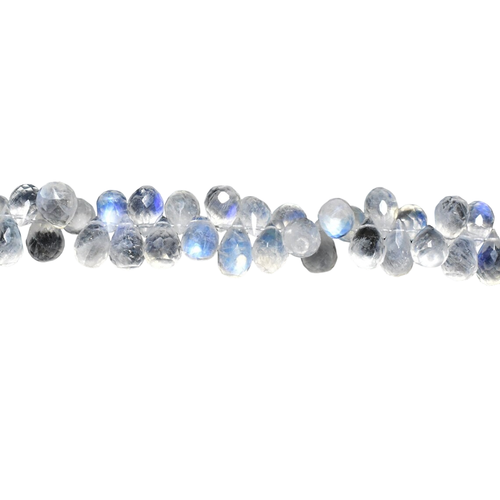 lv.1 62 11zon PhotoRoom.png PhotoRoom.png