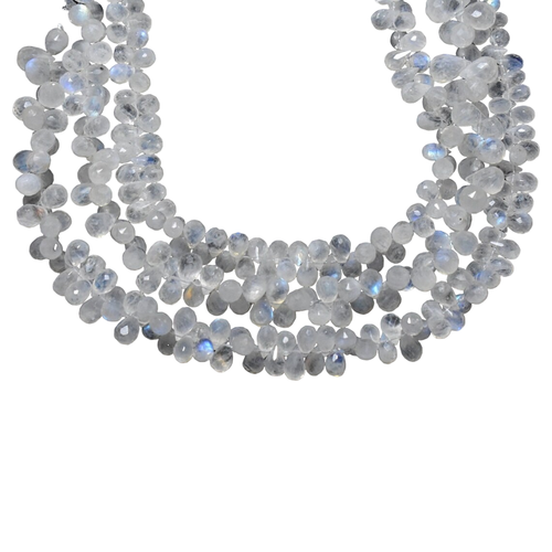 ly.1 56 11zon PhotoRoom.png PhotoRoom.png