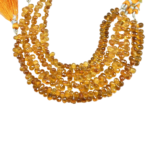 me.1 9 11zon PhotoRoom.png PhotoRoom.png