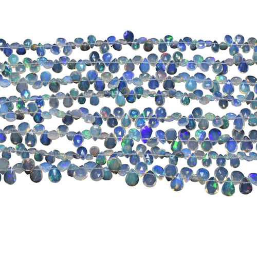 kx.1 6 11zon PhotoRoom.png PhotoRoom.png