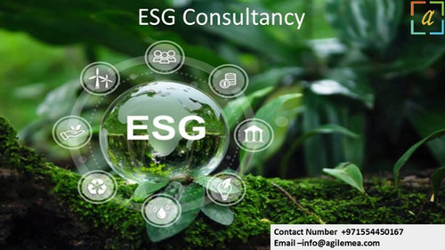 ESG Consultancy 7.jpg