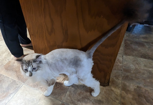 PXL 20230527 175813059.jpg