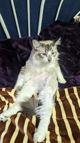 PXL 20230527 205714927.jpg