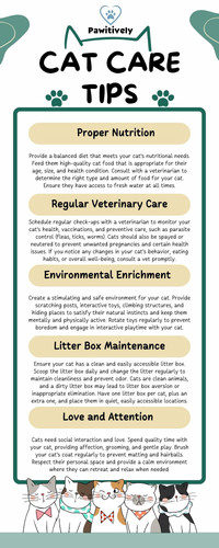 Cat care tips.jpg