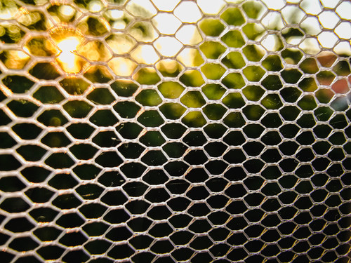 4FAE7465 D41E 4660 9C7C CD197070BAB7.jpg