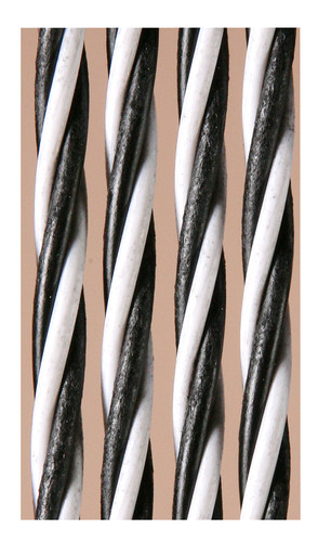 Dara zw wit detail.jpg
