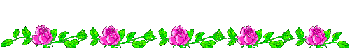 linie 0420.gif