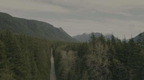 bc70b12e9909.png