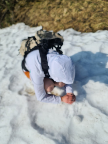 20230529 085232.jpg